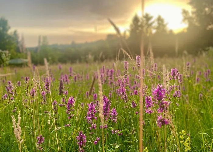 Zabszalma Vendeghaz Apartament *